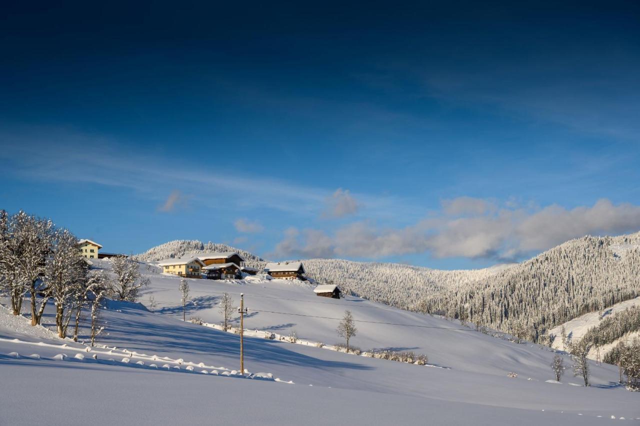 Hotel Parchenbauernhof Horner Flachau Exteriér fotografie